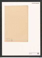 Diatomeae indet. (de-Toni-Nr.: Species 1853 ?) Zeichnungen Sammlung Grunow (NHMW-BOT-W0371423)